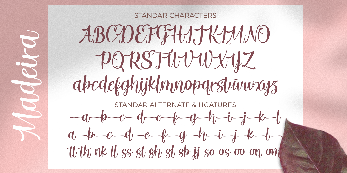 Madeira Script Regular Font preview